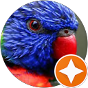Anton Maznyi profile picture